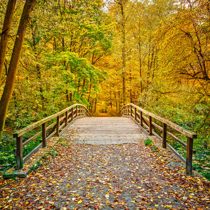 «Bridge in Autumn Park» par Sborisov - reproduction d'art sur toile tendue, L 30 po x H 30 po