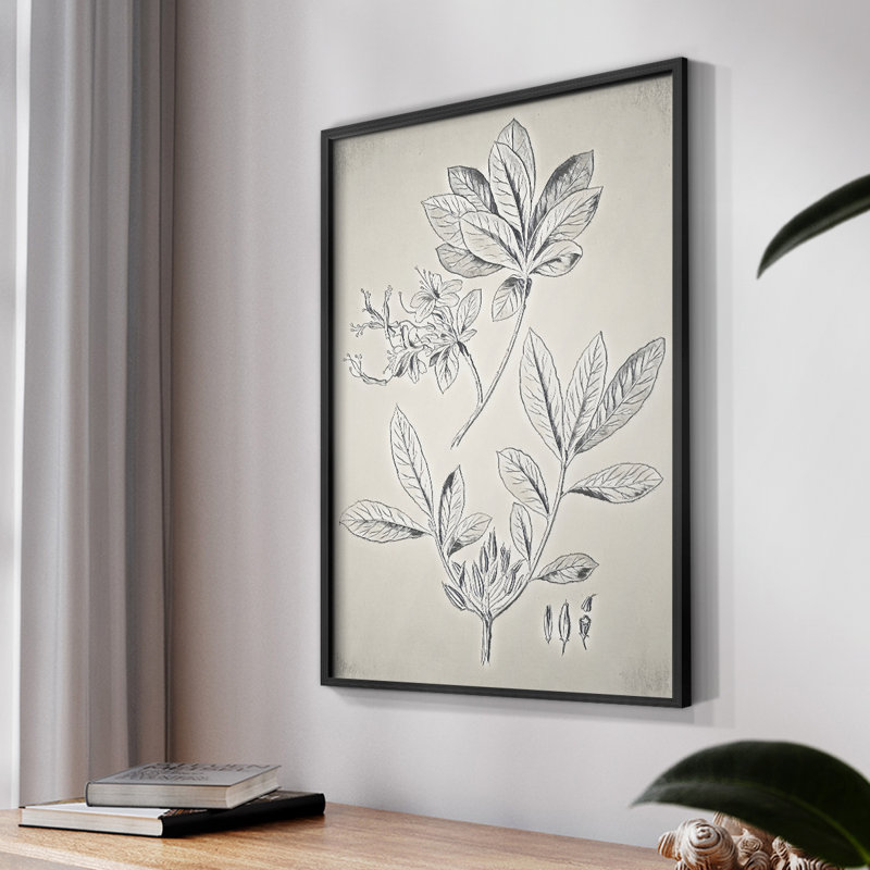 Motif floral rétro CCX III, Noir, H 14 po x l 11 po