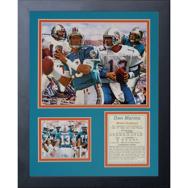 Dan Marino Miami Dolphins Signed Jersey Football Memorabilia Collector  Frame