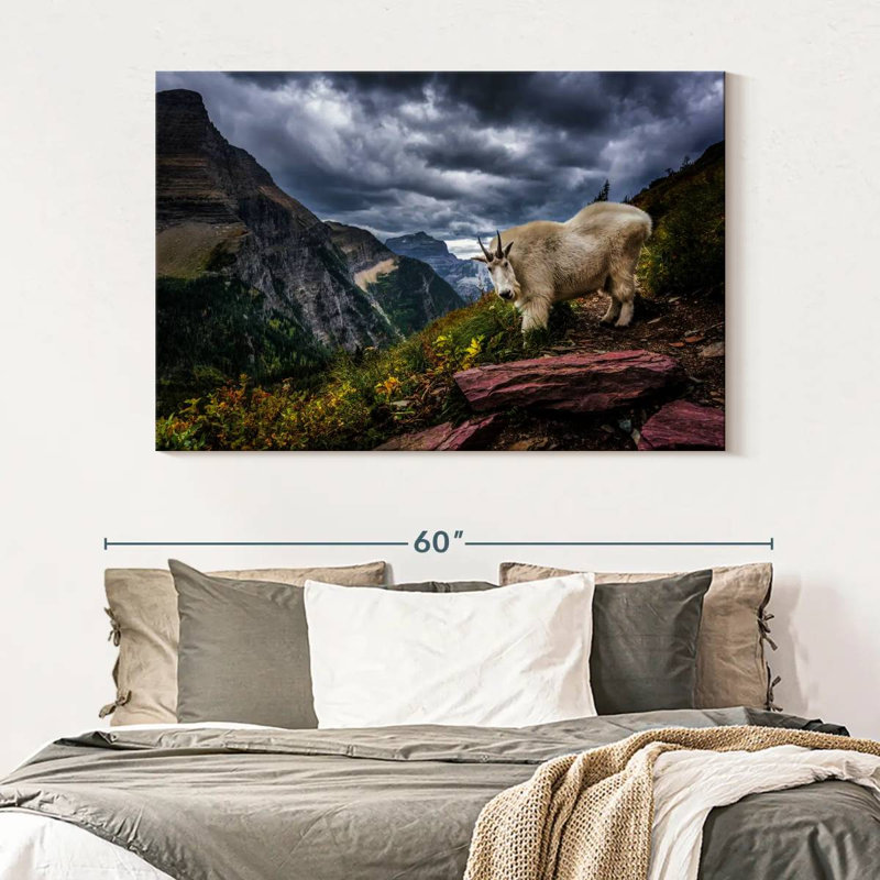 Brampt Rocky Mountain Goat