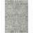 Machine Washable Indoor/Outdoor Xhevrie Pewter Rug-400641006
