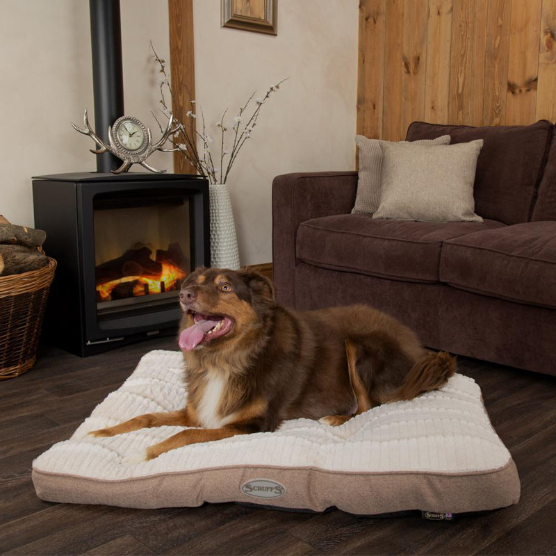 Ellen Polyester Pet Bed, Tan/Ivory