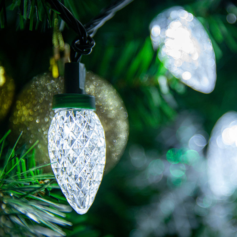 C9 LED Christmas Garland, Blanc, L 81 pi