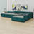 Upholstered Double Daybed With Trundle And Drawer-1937354440