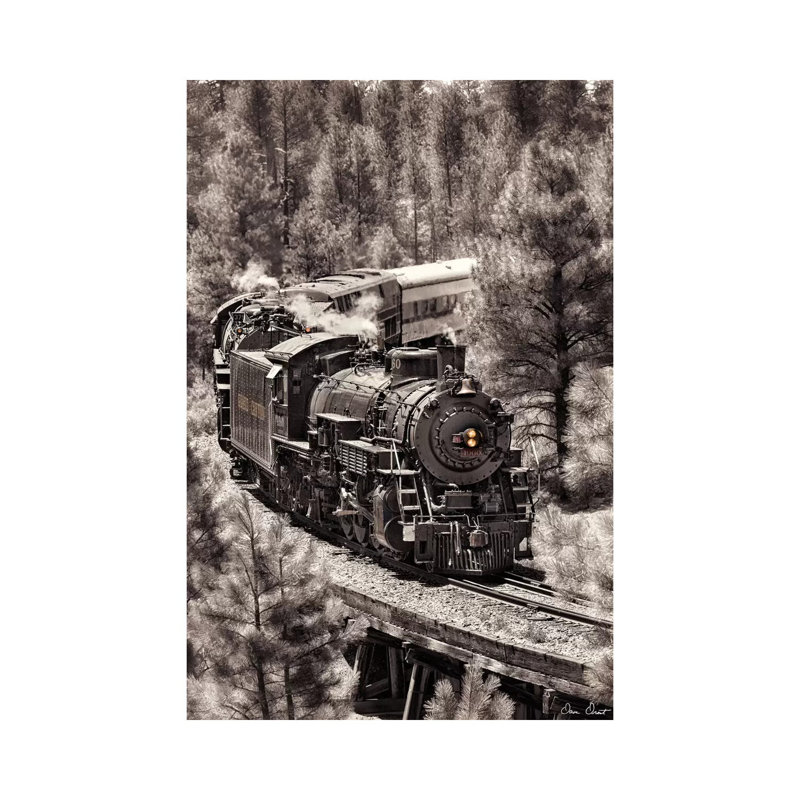 Train Arrival III by David Drost - Wrapped Canvas Print, 101.6 cm H x 66.04 cm W x 3.175 cm D