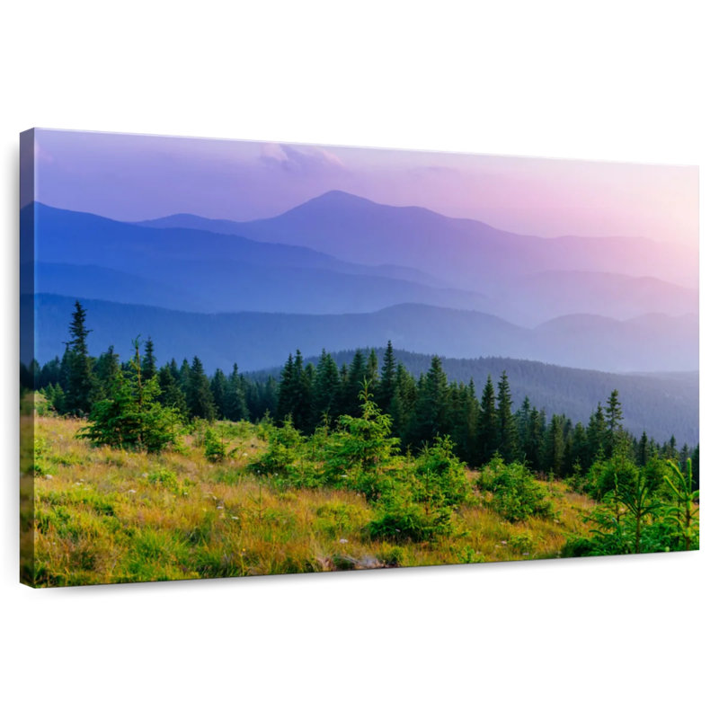 Forêt de sapins des Carpates de Harnek, H 20 po x l 30 po