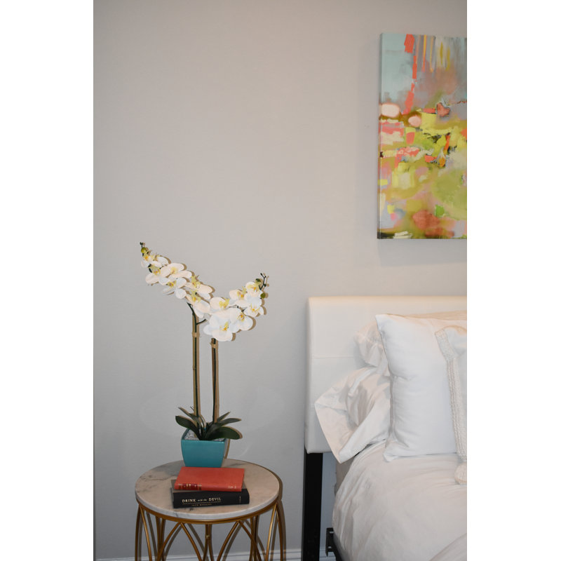 Orchidées florales en pot, Turquoise, Orchidée blanche