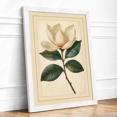 Magnolia in Bloom Botanical - Framed Print