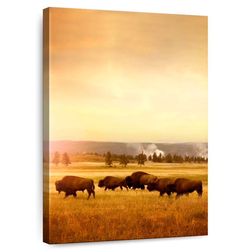 Troupeau de bisons itinérant, H 24 po x l 16 po