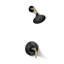 Tone Pressure-Balancing Shower Faucet Trim-1904365642