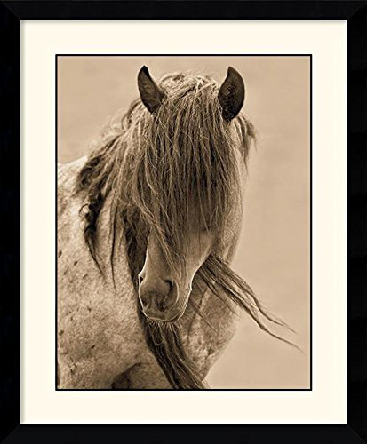 " Freedom " by Lisa Dearing