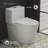 Arles One-Piece Elongated Toilet Vortex Dual-Flush 1.1/1.6 GPF