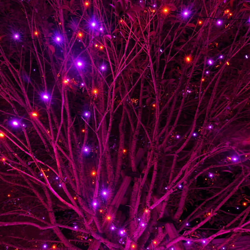 300 - Bulb 100'' Plug-in LED String Light