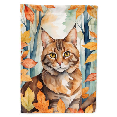 Chat en feuilles d'automne