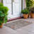  Machine Washable Indoor/Outdoor Chantille ACN1220 Rug-1735624480