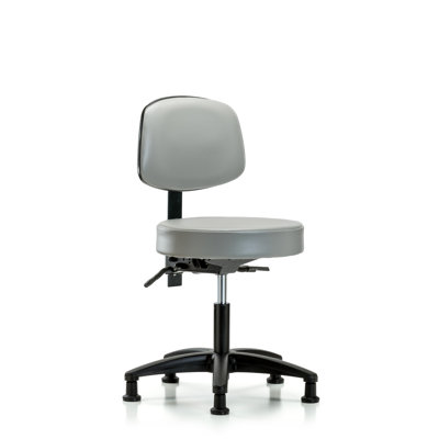 Amundson Backed Adjustable Height Ergonomic Lab Stool