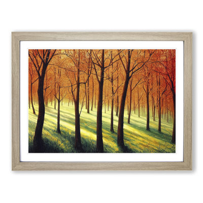 Spring Forest Sunlight - Framed Print
