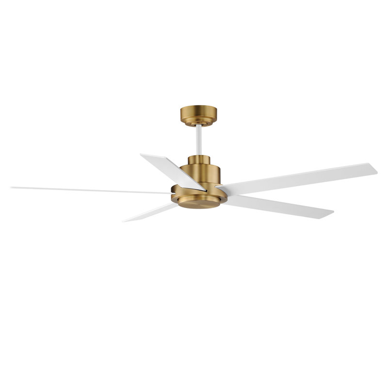 Isobel 60'' Ceiling Fan with LED Lights