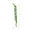 Succulent lierre artificiel
