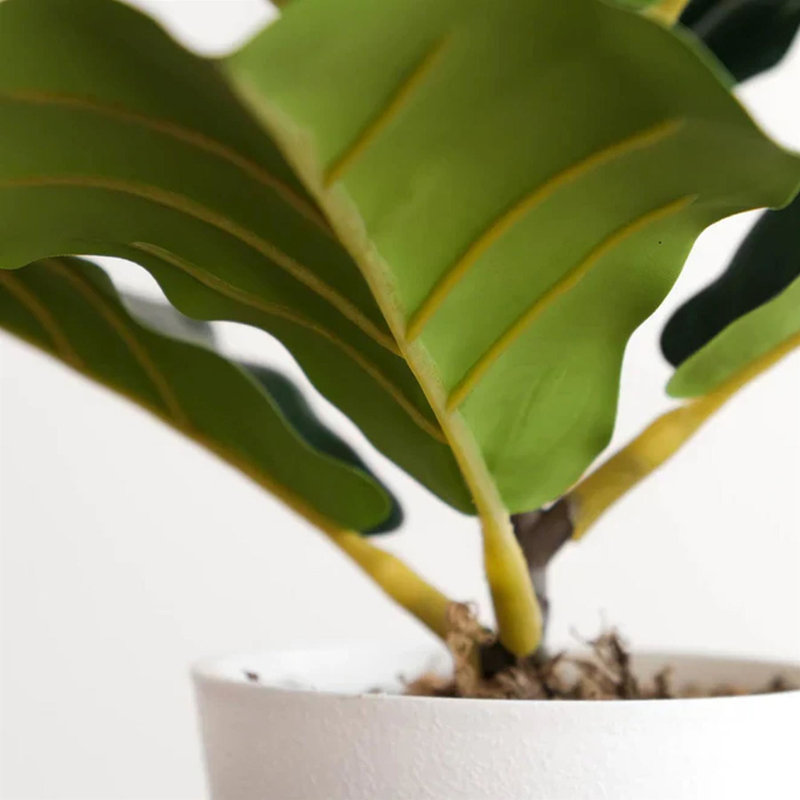 Pack Of 6 X Artificial Potted Foliage Plants 38cm Faux Ficus Plant in Pot Liner