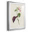 «Pretty Pink Botanicals VI» - reproduction de cadre photo-966822142-966822137