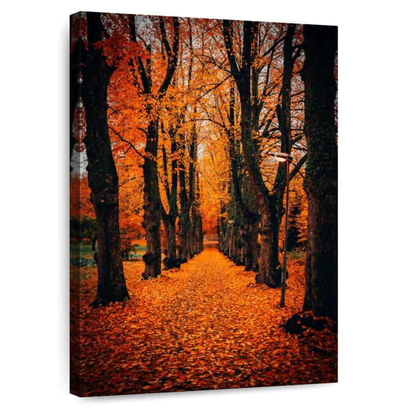 Park arbres en automne, H 36 po x l 24 po