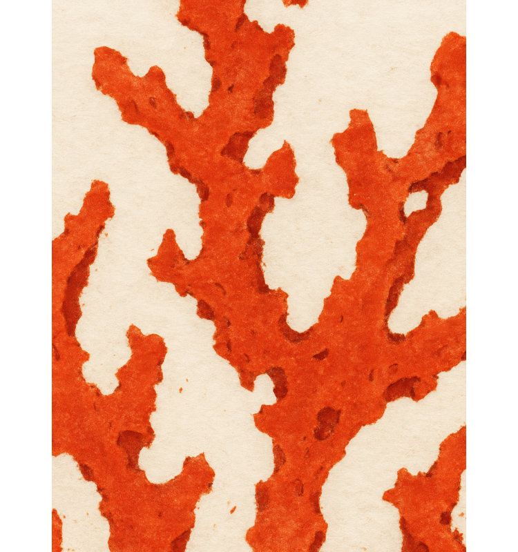Coral Dreams Print, 32 × 48, Matted Framed Print, Gold