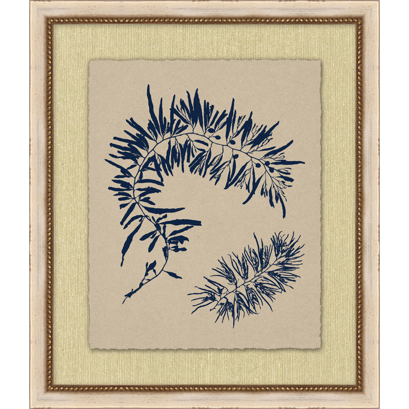 Small Navy Sea Fan 2 Print