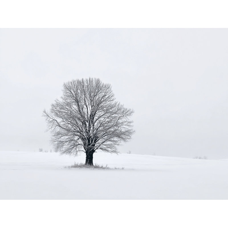 Art solitaire sur toile de chêne d'hiver solitaire, H 12 po x l 16 po