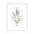 White Paper