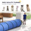 Dog Agility-124016484