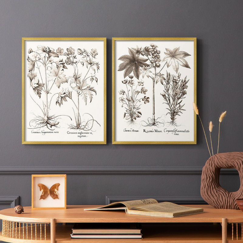 Impression encadrée sépia Besler Botanicals V-Premium - prête à être accrochée - aucun clou requis - aucun clou requis, Doré