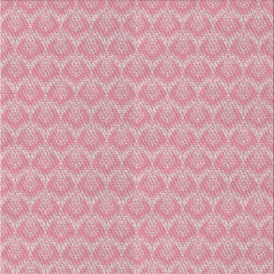 Indoor Rug