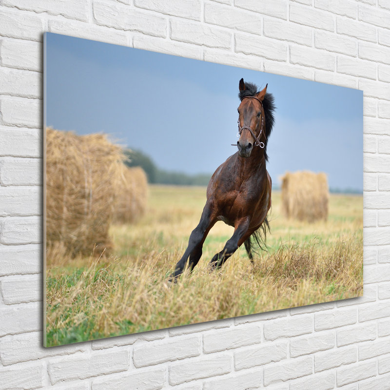 Horse In Gallop - No Frame Print on Glass