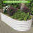 Galvanized Metal Oval Raised Garden Bed - Planter Box for Vegetables and Flowers-538762276-538762275