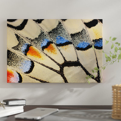 « papillon macro-photographie xx », impression sur toile