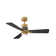 ATTICUS 42'' Ceiling Fan with LED Lights