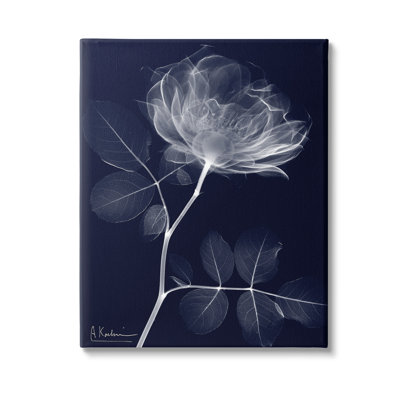 Dynamic Dark Flower Canvas Wall Art Design By Albert Koetsier