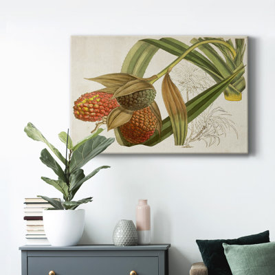 " Tropical Foliage & Fruit III "