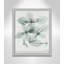 Basil Ocimum Basicicum by Albert Koetsier-88318172-88318171