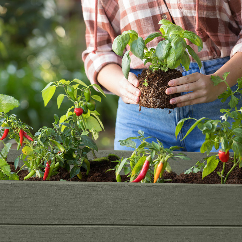 Keter Darwin Elevated Garden Bed - Green