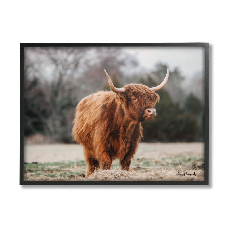 Seren Highland Clever, Giclée encadrée noir minuit, L 14 po x H 11 po