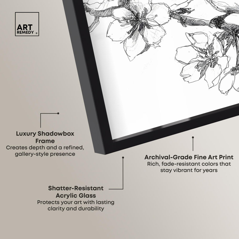 «Botanical S Croquis II» par Art Remedy, H 17 po x l 21 po, Noir