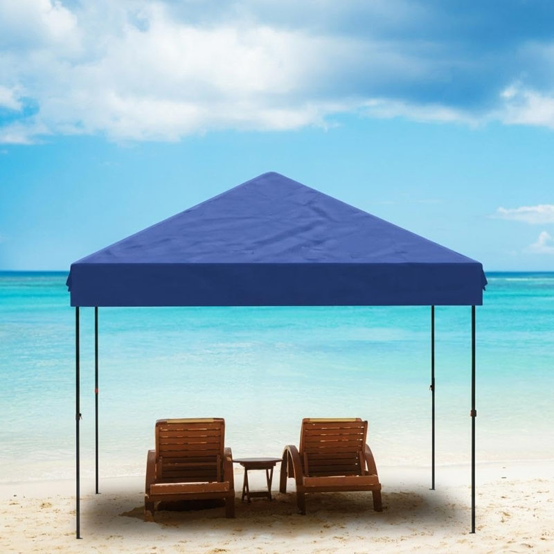 Tente à auvent escamotable 10 x 10, abri facile à monter en fer robuste avec tissu Oxford 210D, abat-jour portatif pour le camping