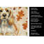 Serviette de cuisine tricolore Sheltie-2083472750
