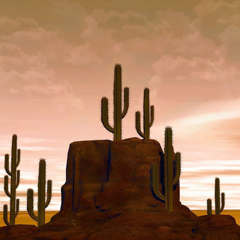 " Cactus Canyon I ", 36" H x 36" W x 1.5" D