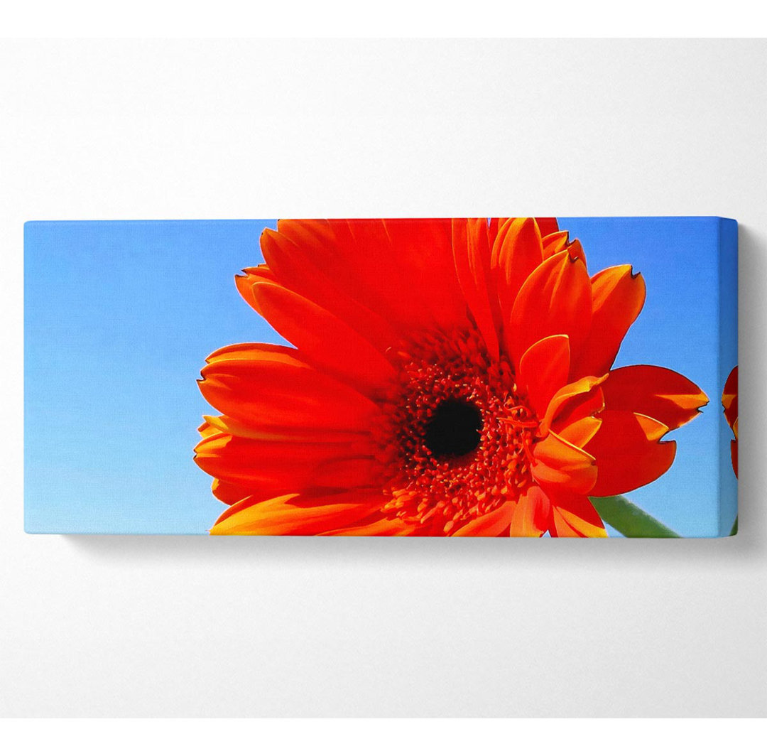 Orange Gerbera Skies - Kunstdrucke auf Segeltuch