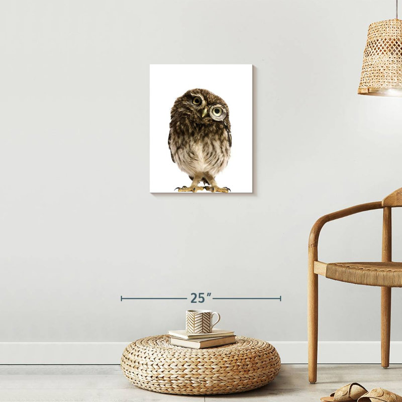 Curious Owl, H 20 po x l 16 po x P 1,25 po