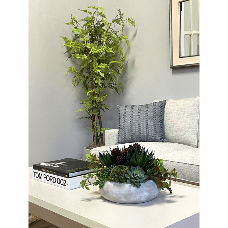 Agave, Succulent and Sedum Arranged in a Stone Pot