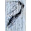 Repose Print by Dina Gardner-1899872122-1934861058